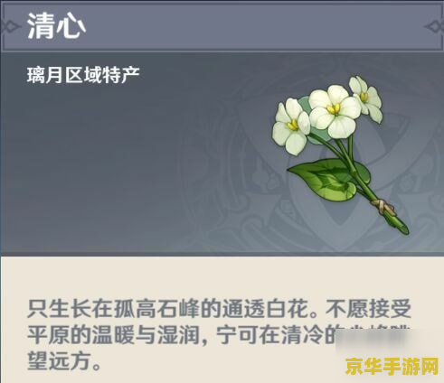 清心在哪里买原神 原神清心购买地点解析