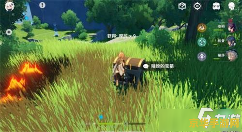 原神集齐蒲公英海的狐狸 探索原神：集齐蒲公英海的狐狸