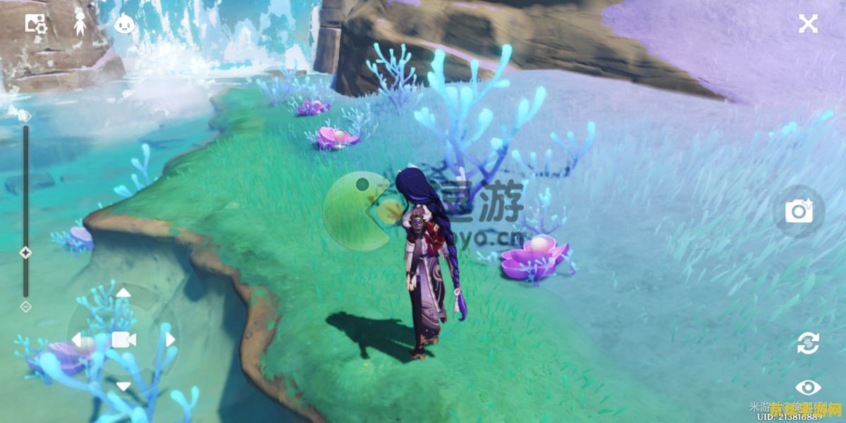 原神盗七海灵芝位置 原神稻妻海灵芝位置全解析 原神盗七海灵芝位置 原神稻妻海灵芝位置全解析