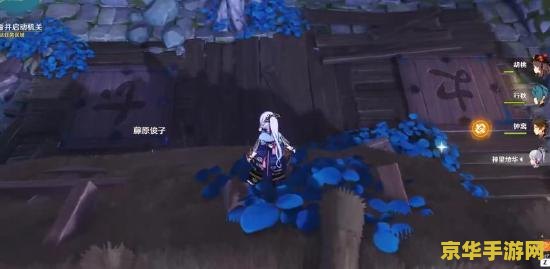 原神清籁宝藏怎么踩机关 原神清籁宝藏怎么踩机关