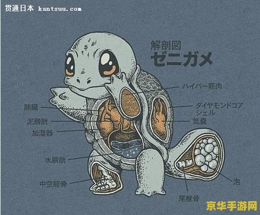 原神可莉解剖图事件 原神可莉解剖图事件：谣言、道德与游戏文化的反思
