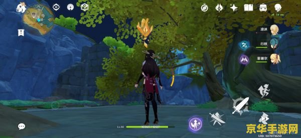 原神天遒谷遗迹空洞怎么进 原神天遒谷遗迹空洞怎么进