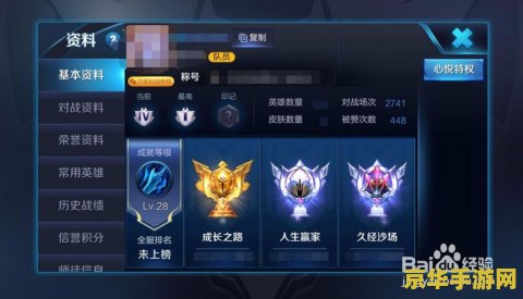 王者荣耀怎么查好友资料 王者荣耀怎么查好友资料