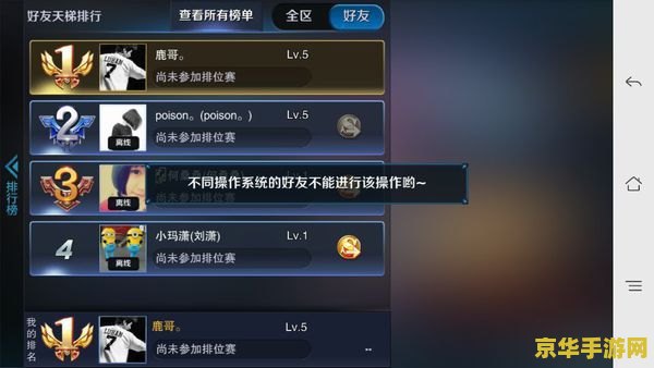 王者荣耀安卓系统怎么隐身在线 王者荣耀安卓系统怎么隐身在线