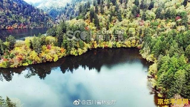 原神如何解开华清池旁边的秘境 原神如何解开华清池旁边的秘境 原神如何解开华清池旁边的秘境 原神如何解开华清池旁边的秘境