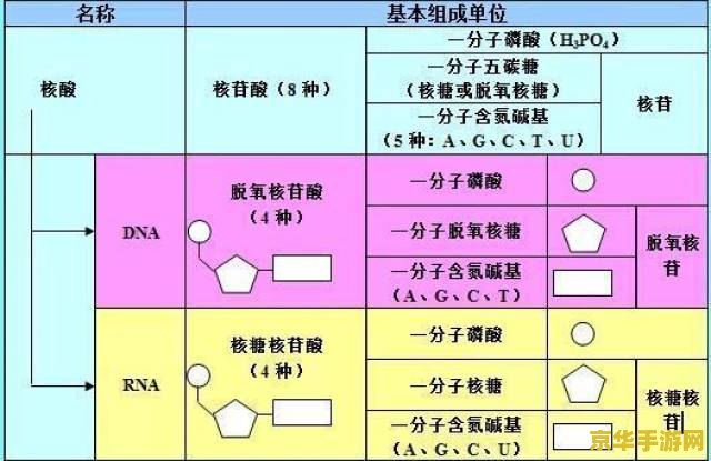 原神对知识的推断 原神对知识的探索与推断