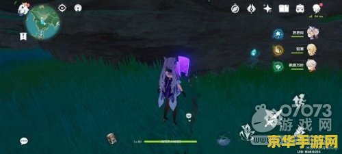 原神九条阵屋解密继电石左上角 原神九条阵屋解密继电石左上角攻略 原神九条阵屋解密继电石左上角 原神九条阵屋解密继电石左上角攻略