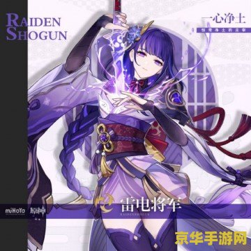 原神雷电将军四星圣遗物推荐 原神雷电将军四星圣遗物推荐