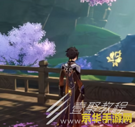 原神调查走廊深处的庭院怎么解 原神调查走廊深处的庭院解谜攻略
