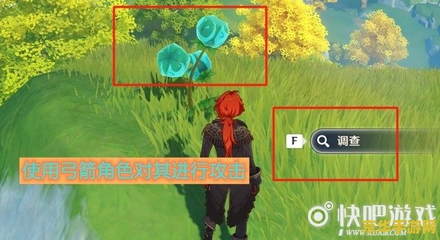 原神蓬蓬果 原神中的蓬蓬果:探索与收集的奇妙之旅 原神蓬蓬果 原神中的蓬蓬果:探索与收集的奇妙之旅