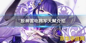 原神雷电将军技能升级材料 原神雷电将军技能升级材料详解