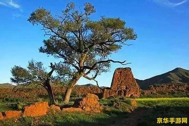 原神里的观景点 原神里的绝美观景点探索 原神里的观景点 原神里的绝美观景点探索