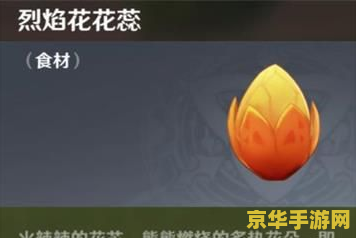 原神暂留此影客人在哪 原神暂留此影客人在哪:详细解析与寻找指南 原神暂留此影客人在哪 原神暂留此影客人在哪:详细解析与寻找指南