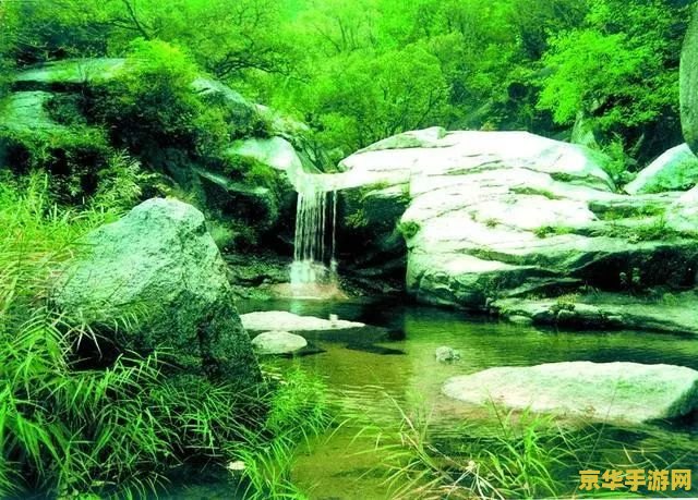 原神石壁上的灌木怎么过 原神石壁上的灌木解密攻略