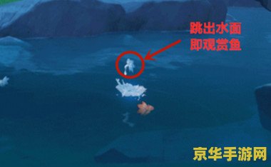 原神中钓鱼的地点有哪些 原神中钓鱼的地点有哪些