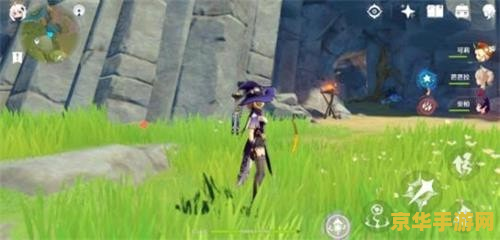 原神任务调查石壁上的灌木 原神任务解析:调查石壁上的灌木 原神任务调查石壁上的灌木 原神任务解析:调查石壁上的灌木