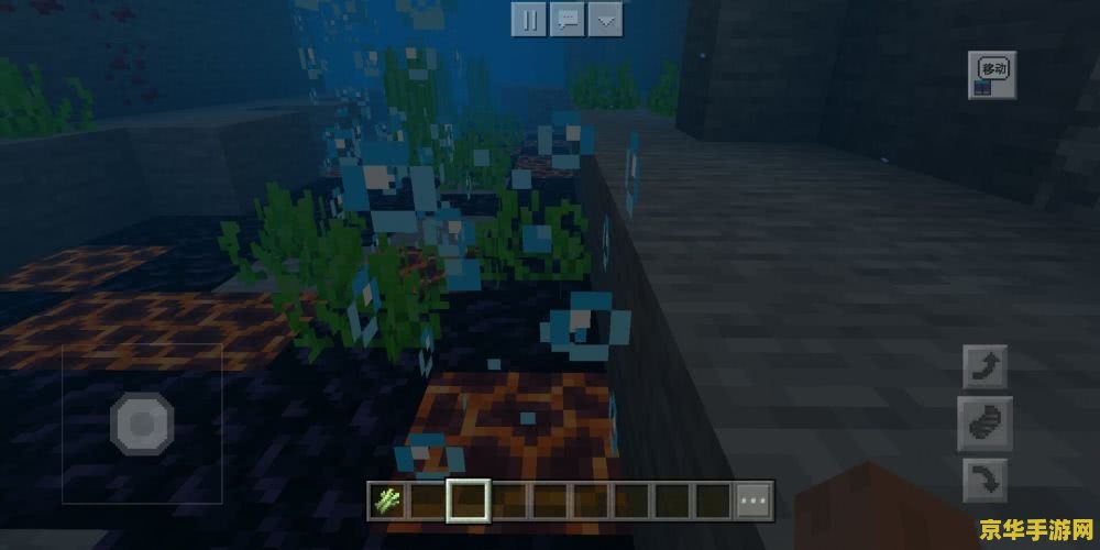 原神荒海特殊的宝藏 原神荒海特殊的宝藏探索指南 原神荒海特殊的宝藏 原神荒海特殊的宝藏探索指南