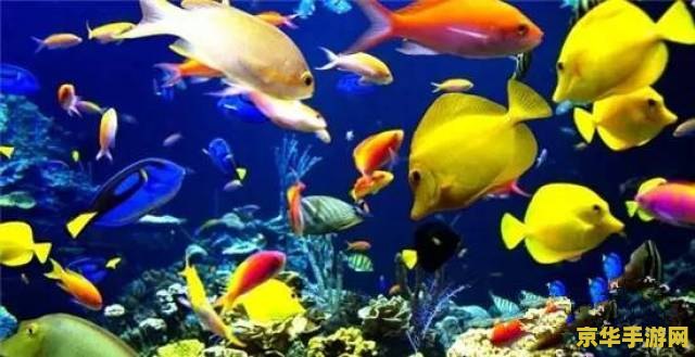 原神鱼儿合成 原神鱼儿合成深度解析