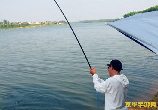 原神林野钓杆用不了 原神林野钓竿无法使用问题解析