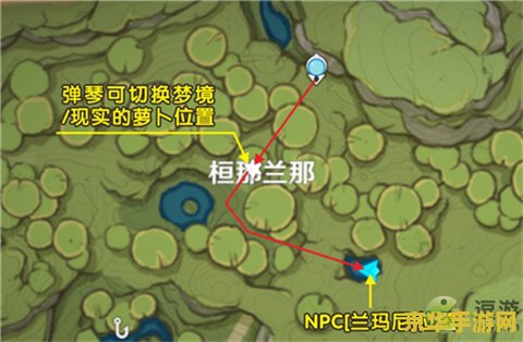 原神须劫波莲位置 原神须弥劫波莲位置详解