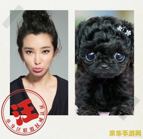 原神搞笑动态表情包 &lt;h3&gt;原神搞笑动态表情包：游戏中的欢乐源泉&lt;/h3&gt;