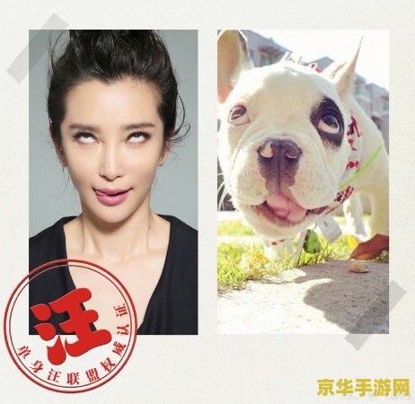 原神搞笑动态表情包 &lt;h3&gt;原神搞笑动态表情包：游戏中的欢乐源泉&lt;/h3&gt;