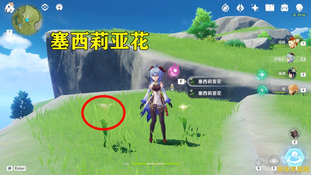 原神清心怎么种植 原神清心怎么种植