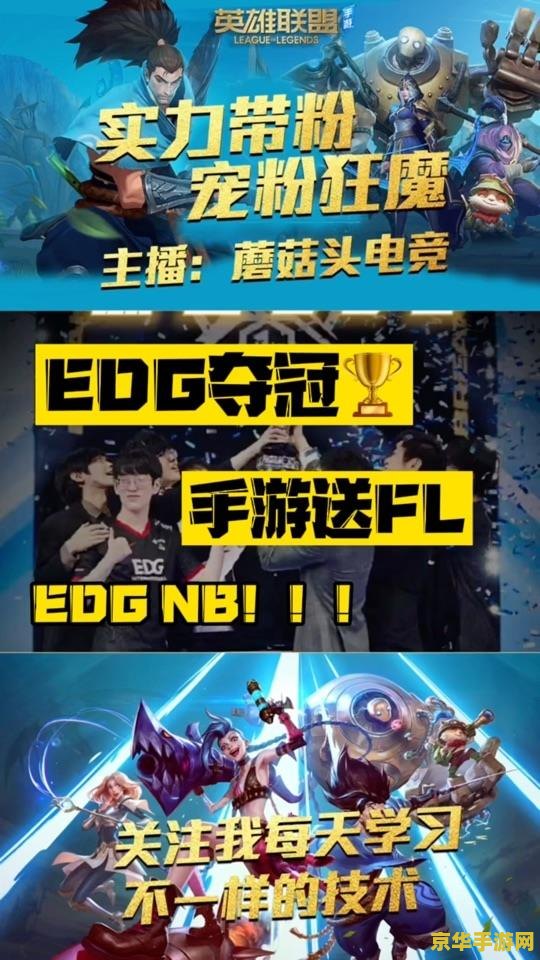 edg英雄联盟手游微博 EDG英雄联盟手游微博深度解析：电竞激情与手游新纪元
