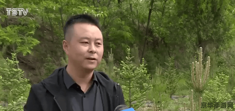 原神叩拜三次 原神中的“叩拜三次”任务深度解析