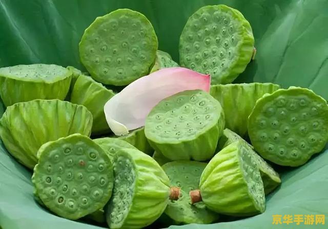 原神卖莲蓬的商人 &lt;h3&gt;原神卖莲蓬的商人：探索璃月港的隐藏宝藏&lt;/h3&gt;