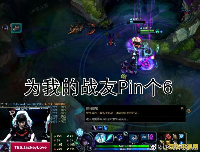 英雄联盟卓定 英雄联盟卓定：天才中单的成长与辉煌