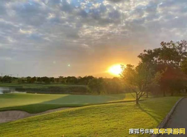 原神钓鱼野钓地点 原神钓鱼野钓地点全解析