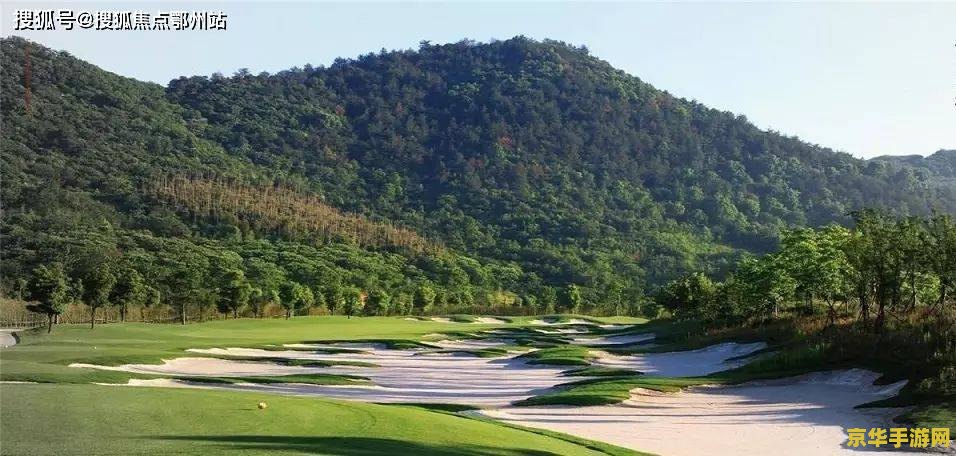 天云草实原神位置 天云草实原神位置全解析