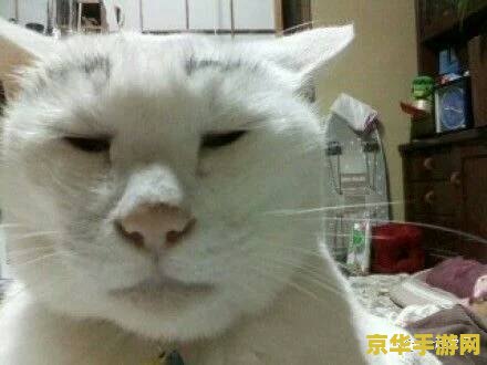 英雄联盟魔法猫咪表情包 英雄联盟魔法猫咪表情包：萌趣无限，战斗添彩
