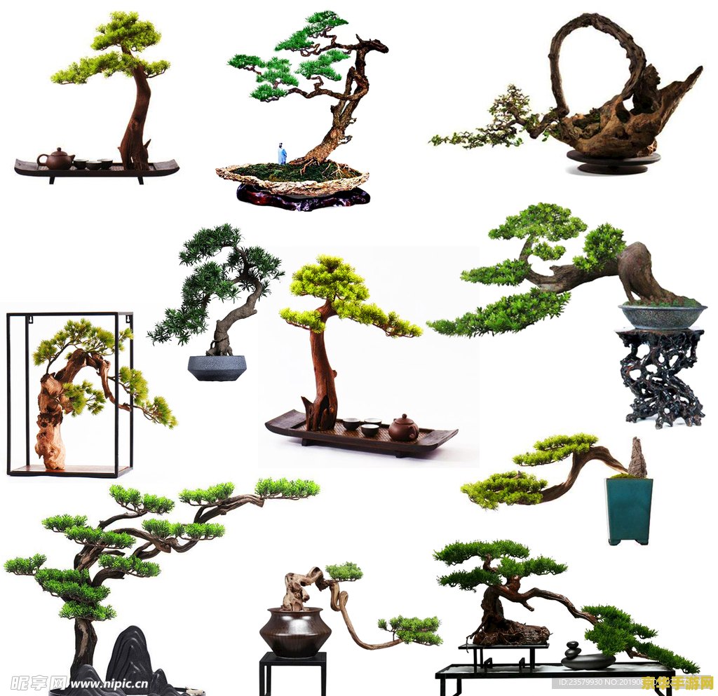 原神 松树 原神中的松树元素探索