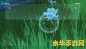 原神蓝色采集物任务 原神蓝色采集物收集指南