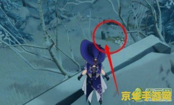 原神龙脊雪山三个匣子密室在哪 原神龙脊雪山三个匣子密室探索指南