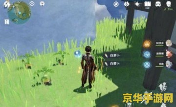 原神中的白萝卜在哪 原神中的白萝卜获取攻略