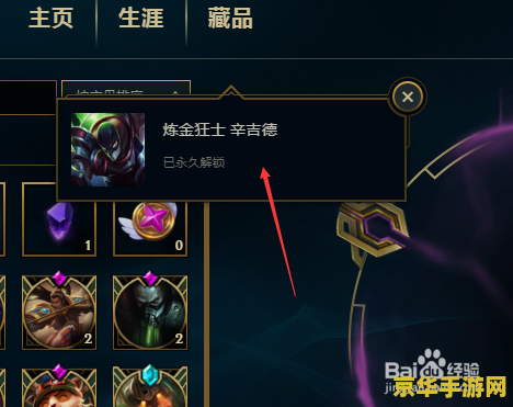 英雄联盟永久皮肤 英雄联盟永久皮肤深度解析