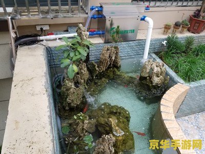 原神鱼池多久刷新一次 原神鱼池多久刷新一次
