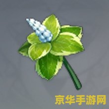 原神薄荷在哪买 原神薄荷在哪买