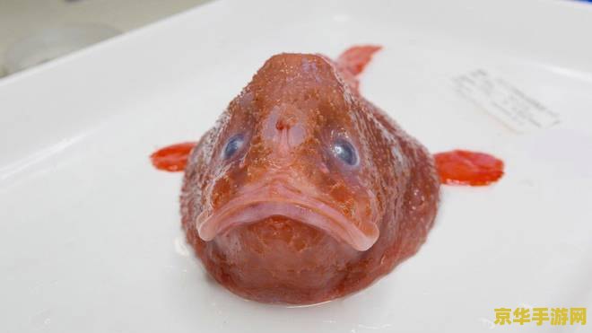 原神怎么发现新鱼类 原神怎么发现新鱼类 原神怎么发现新鱼类 原神怎么发现新鱼类