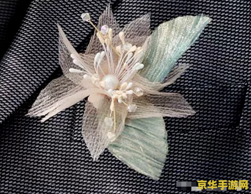 原神中饰金胸花适合谁 原神中饰金胸花适合谁
