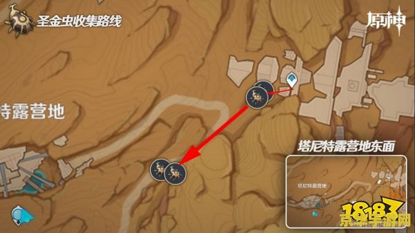 原神圣金虫为什么找不到 原神圣金虫难以寻觅的奥秘