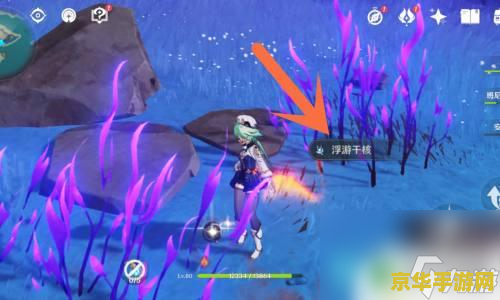 原神飘浮灵在哪里刷 原神飘浮灵刷新地点全攻略 原神飘浮灵在哪里刷 原神飘浮灵刷新地点全攻略