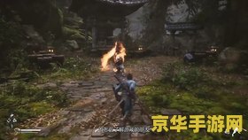 原神游戏飞行考试 原神游戏飞行考试深度解析