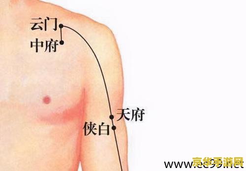 原神落落莓准确位置图 原神落落莓准确位置图 原神落落莓准确位置图 原神落落莓准确位置图