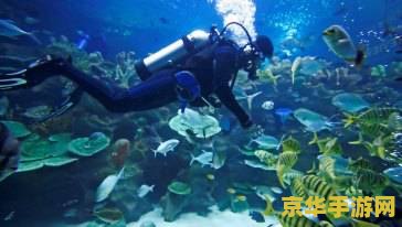 原神到海底 原神：探索未知的海底世界