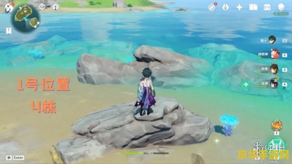 原神海灵芝在哪找 原神海灵芝采集指南 原神海灵芝在哪找 原神海灵芝采集指南