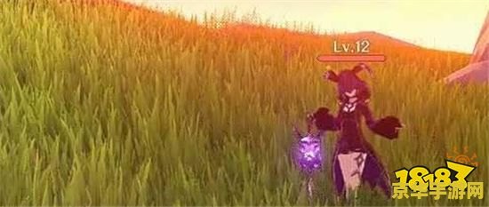 原神紫色的生物地点 原神紫色的生物地点探索